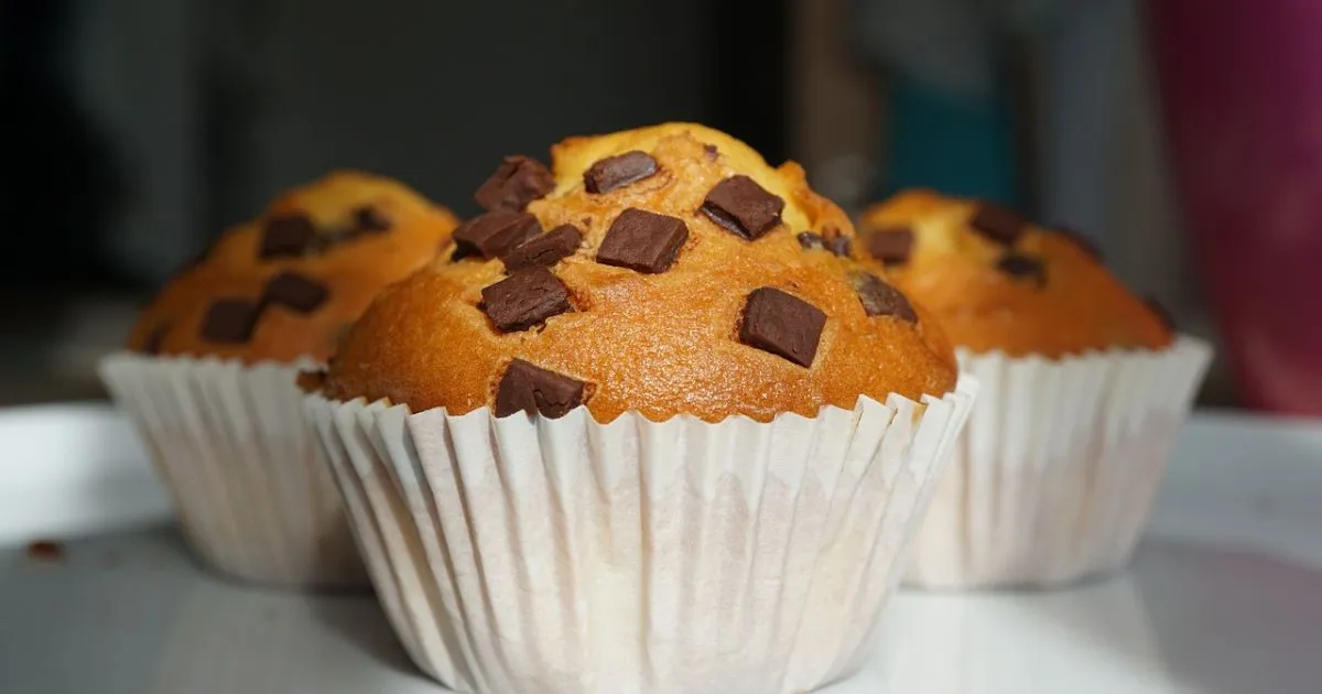 Pumpkin Protein Muffins